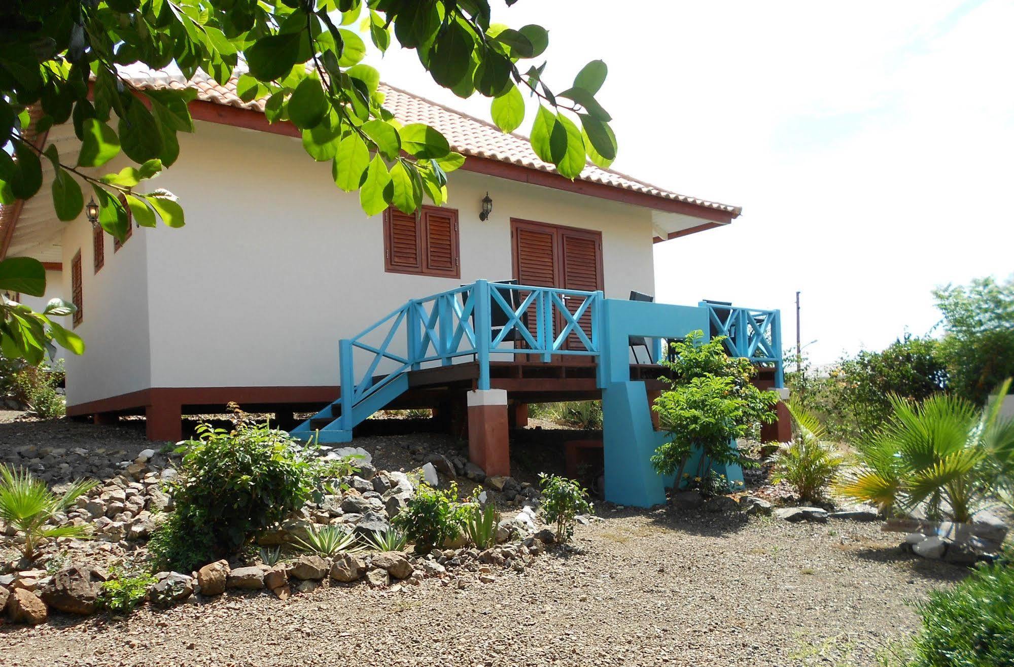 Botanique Bungalows Westpunt Zewnętrze zdjęcie